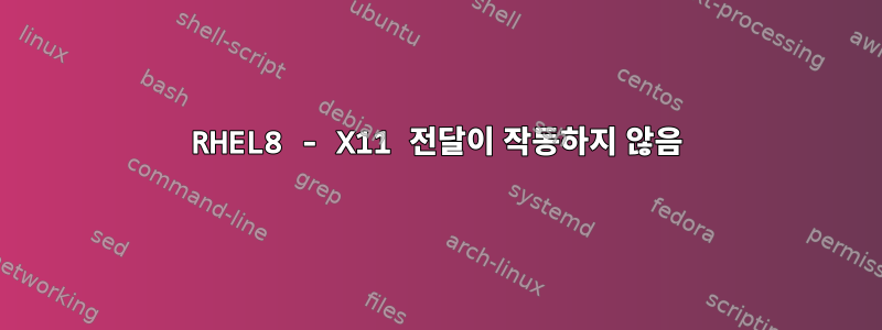 RHEL8 - X11 전달이 작동하지 않음