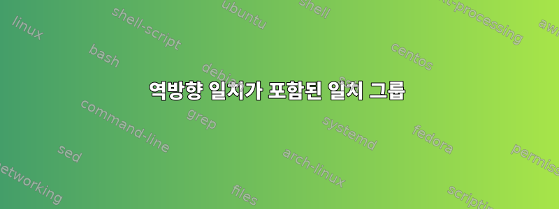 역방향 일치가 포함된 일치 그룹