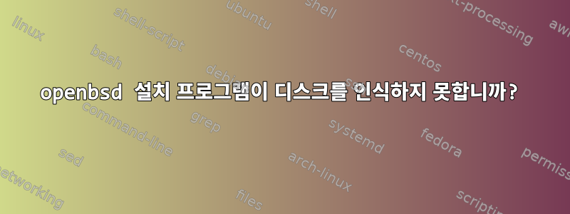 openbsd 설치 프로그램이 디스크를 인식하지 못합니까?