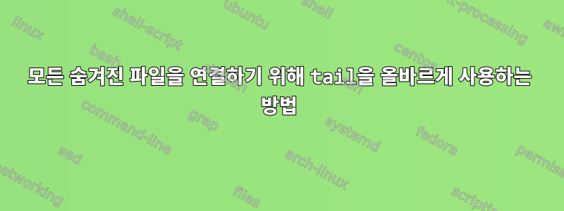 모든 숨겨진 파일을 연결하기 위해 tail을 올바르게 사용하는 방법