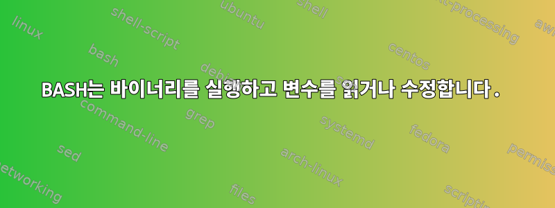 BASH는 바이너리를 실행하고 변수를 읽거나 수정합니다.