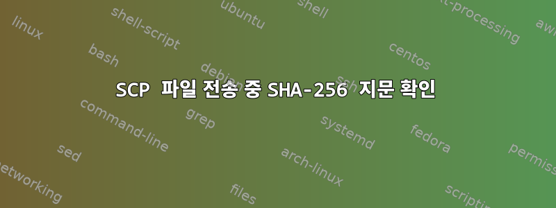 SCP 파일 전송 중 SHA-256 지문 확인