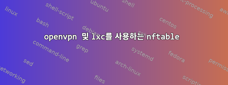 openvpn 및 lxc를 사용하는 nftable