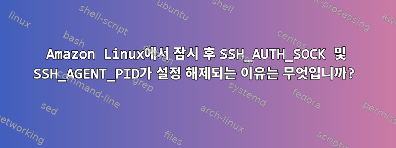 Amazon Linux에서 잠시 후 SSH_AUTH_SOCK 및 SSH_AGENT_PID가 설정 해제되는 이유는 무엇입니까?