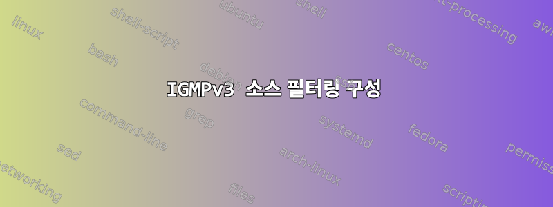 IGMPv3 소스 필터링 구성