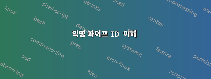 익명 파이프 ID 이해