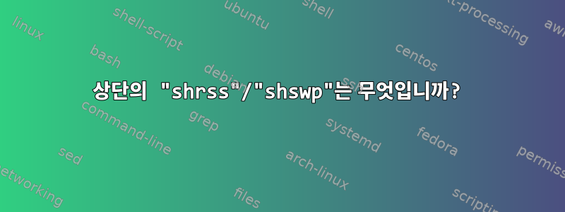 상단의 "shrss"/"shswp"는 무엇입니까?