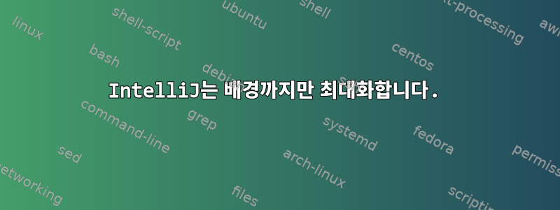 IntelliJ는 배경까지만 최대화합니다.