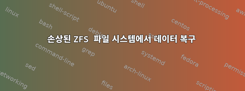 손상된 ZFS 파일 시스템에서 데이터 복구