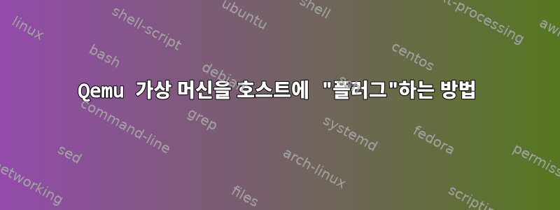 Qemu 가상 머신을 호스트에 "플러그"하는 방법