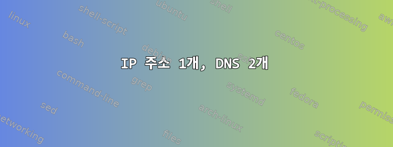 IP 주소 1개, DNS 2개