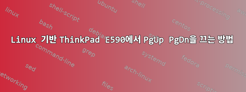 Linux 기반 ThinkPad E590에서 PgUp PgDn을 끄는 방법