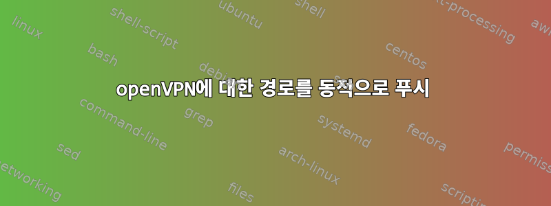 openVPN에 대한 경로를 동적으로 푸시