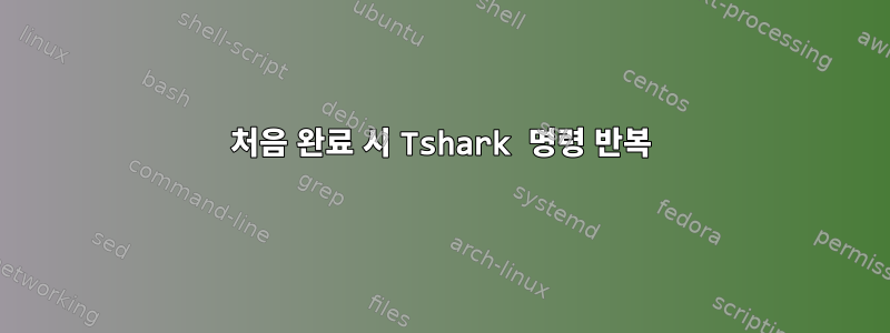 처음 완료 시 Tshark 명령 반복