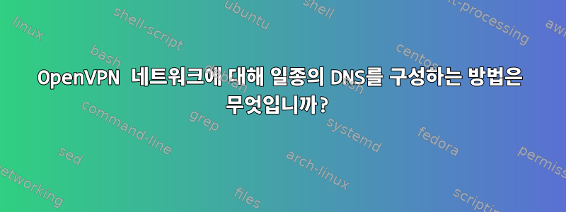 OpenVPN 네트워크에 대해 일종의 DNS를 구성하는 방법은 무엇입니까?