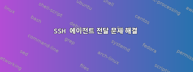 SSH 에이전트 전달 문제 해결