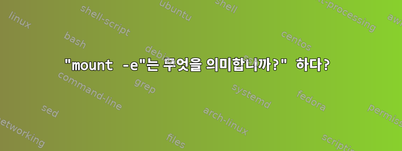 "mount -e"는 무엇을 의미합니까?" 하다?