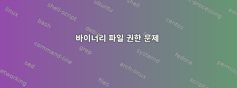 바이너리 파일 권한 문제