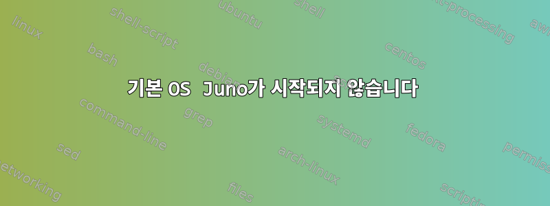 기본 OS Juno가 시작되지 않습니다