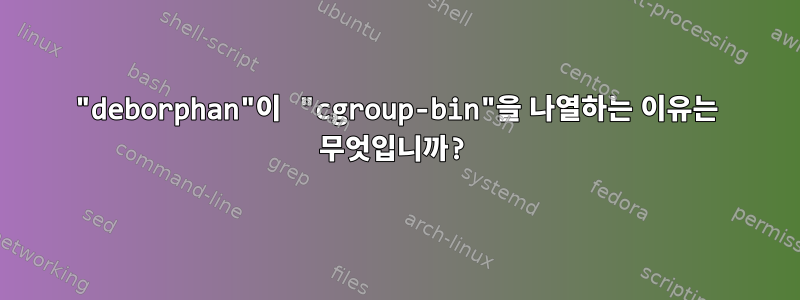 "deborphan"이 "cgroup-bin"을 나열하는 이유는 무엇입니까?