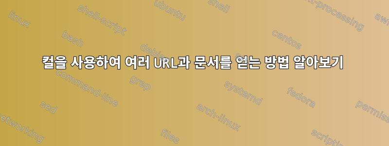 컬을 사용하여 여러 URL과 문서를 얻는 방법 알아보기