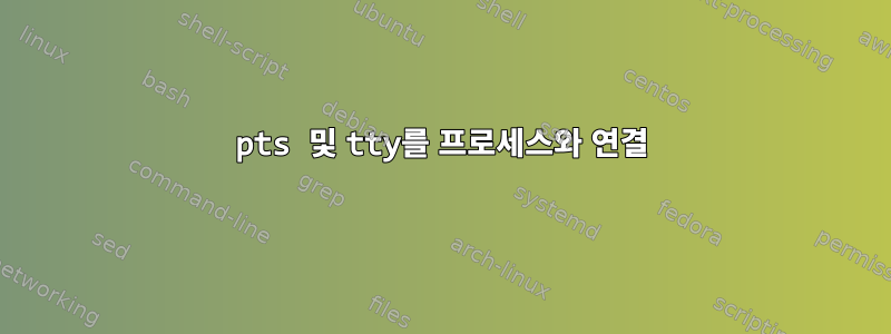 pts 및 tty를 프로세스와 연결