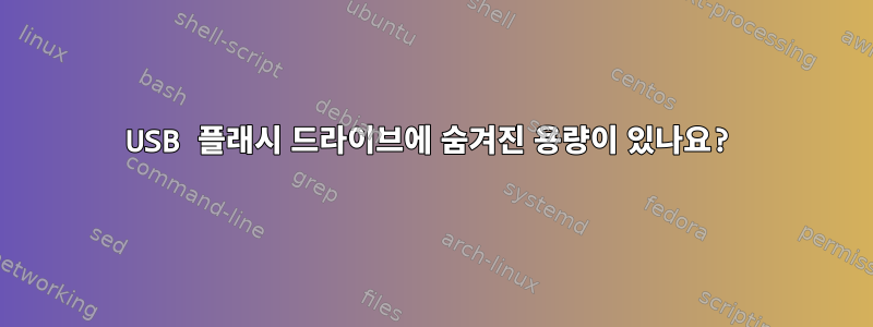 USB 플래시 드라이브에 숨겨진 용량이 있나요?