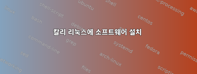 칼리 리눅스에 소프트웨어 설치