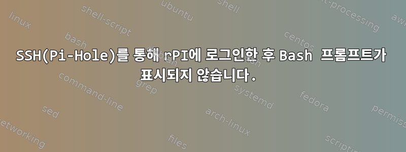 SSH(Pi-Hole)를 통해 rPI에 로그인한 후 Bash 프롬프트가 표시되지 않습니다.