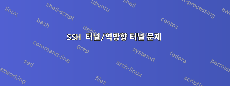 SSH 터널/역방향 터널 문제