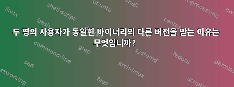 두 명의 사용자가 동일한 바이너리의 다른 버전을 받는 이유는 무엇입니까?