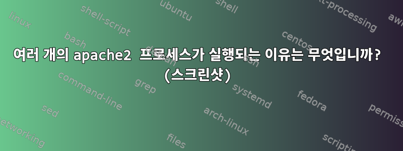 여러 개의 apache2 프로세스가 실행되는 이유는 무엇입니까? (스크린샷)