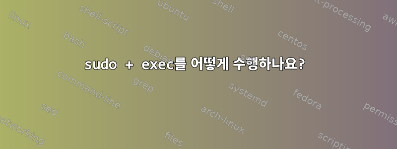 sudo + exec를 어떻게 수행하나요?