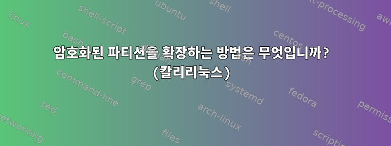 암호화된 파티션을 확장하는 방법은 무엇입니까? (칼리리눅스)