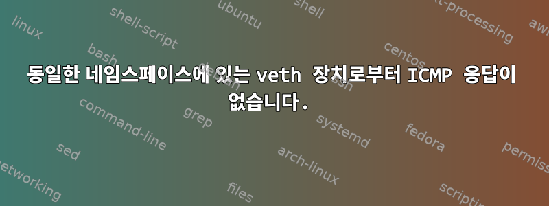 동일한 네임스페이스에 있는 veth 장치로부터 ICMP 응답이 없습니다.