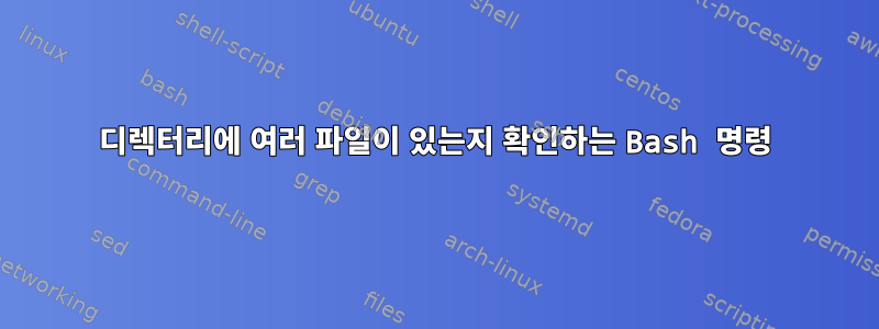 디렉터리에 여러 파일이 있는지 확인하는 Bash 명령