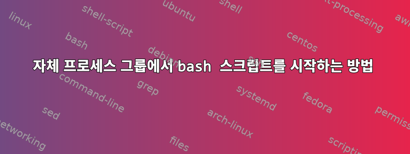 자체 프로세스 그룹에서 bash 스크립트를 시작하는 방법