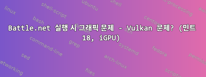 Battle.net 실행 시 그래픽 문제 - Vulkan 문제? (민트 18, iGPU)