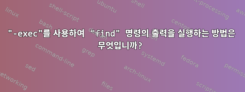 "-exec"를 사용하여 "find" 명령의 출력을 실행하는 방법은 무엇입니까?