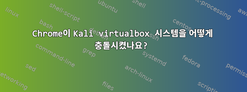 Chrome이 Kali virtualbox 시스템을 어떻게 충돌시켰나요?