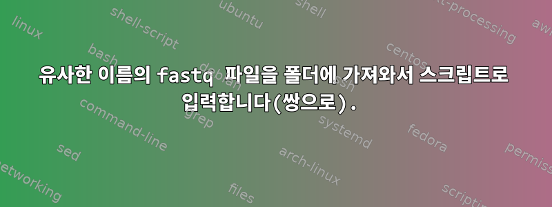 유사한 이름의 fastq 파일을 폴더에 가져와서 스크립트로 입력합니다(쌍으로).