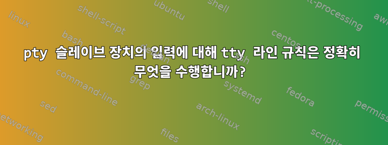 pty 슬레이브 장치의 입력에 대해 tty 라인 규칙은 정확히 무엇을 수행합니까?