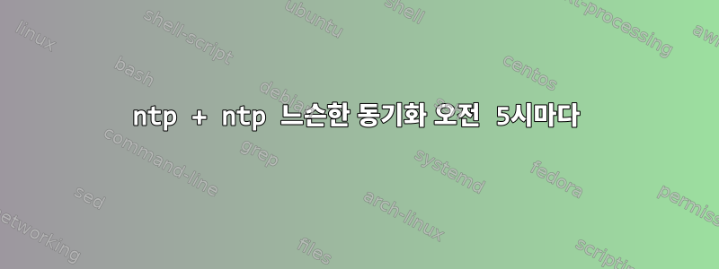 ntp + ntp 느슨한 동기화 오전 5시마다