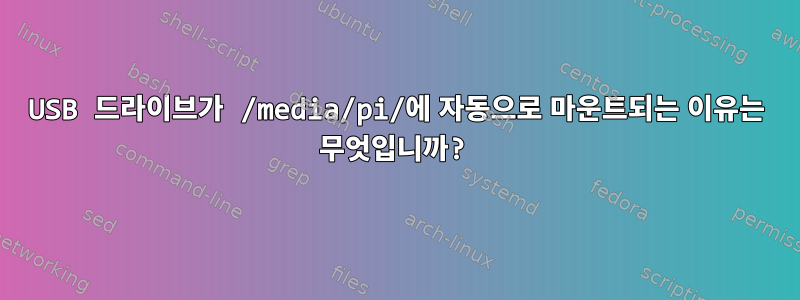 USB 드라이브가 /media/pi/에 자동으로 마운트되는 이유는 무엇입니까?