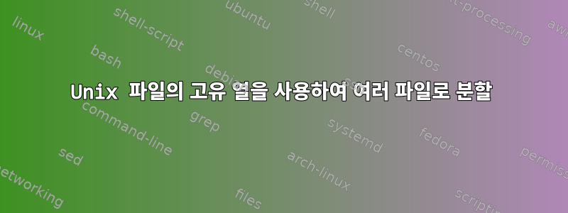 Unix 파일의 고유 열을 사용하여 여러 파일로 분할