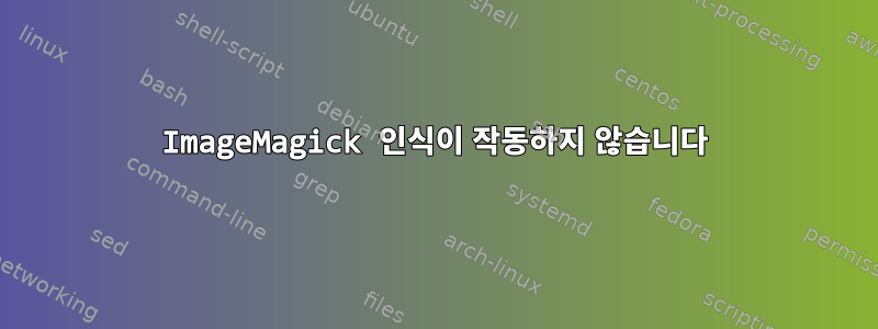 ImageMagick 인식이 작동하지 않습니다