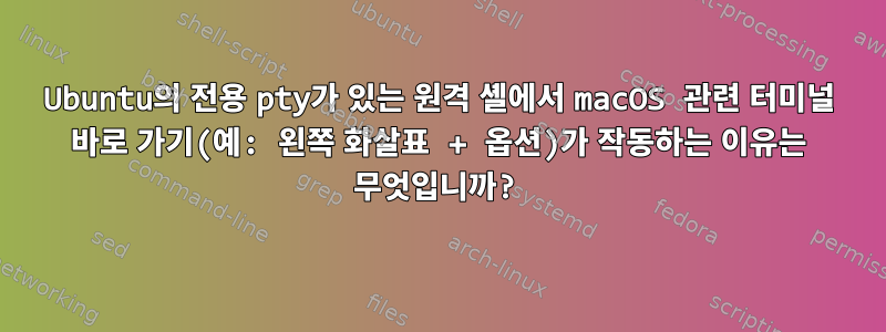 Ubuntu의 전용 pty가 있는 원격 셸에서 macOS 관련 터미널 바로 가기(예: 왼쪽 화살표 + 옵션)가 작동하는 이유는 무엇입니까?