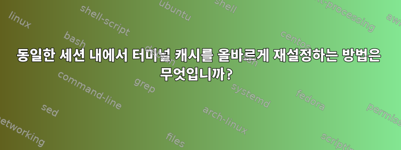 동일한 세션 내에서 터미널 캐시를 올바르게 재설정하는 방법은 무엇입니까?