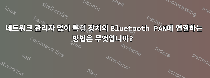 네트워크 관리자 없이 특정 장치의 Bluetooth PAN에 연결하는 방법은 무엇입니까?