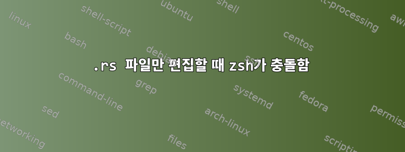 .rs 파일만 편집할 때 zsh가 충돌함